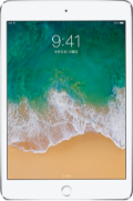 iPad mini